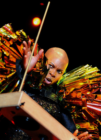 2011 | Skunk Anansie