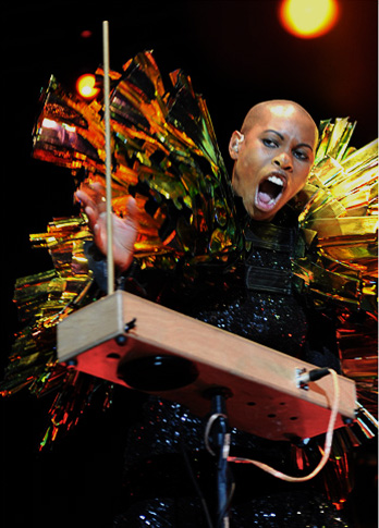 2011 | Skunk Anansie