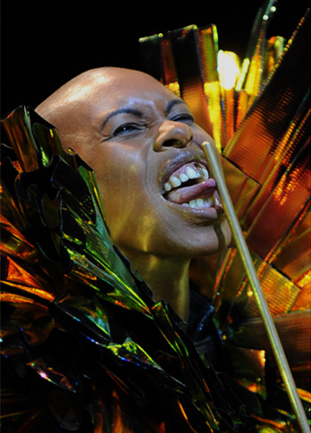 2011 | Skunk Anansie