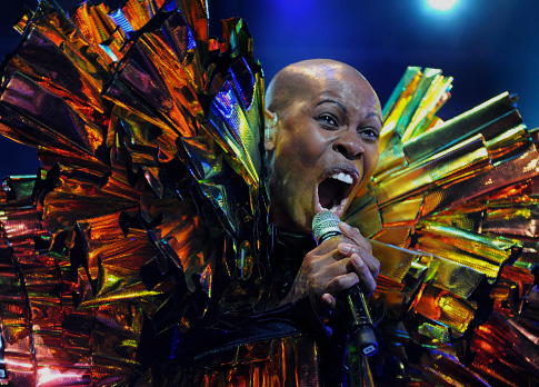 2011 | Skunk Anansie