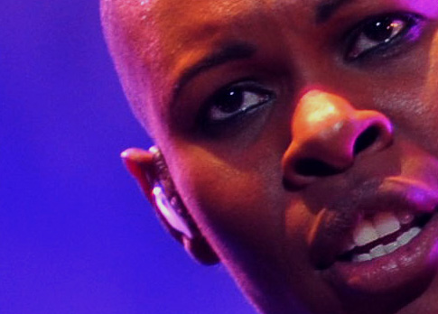 2011 | Skunk Anansie